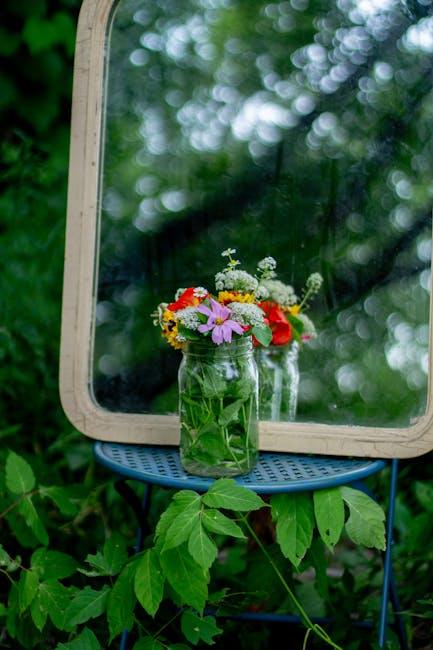 Exploring Nature's Remedies for Stress and Anxiety Relief