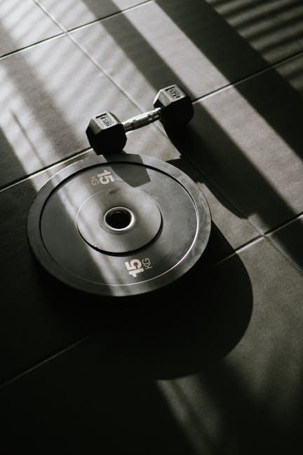 Comparing Versatility and Flexibility in Dumbbell Designs