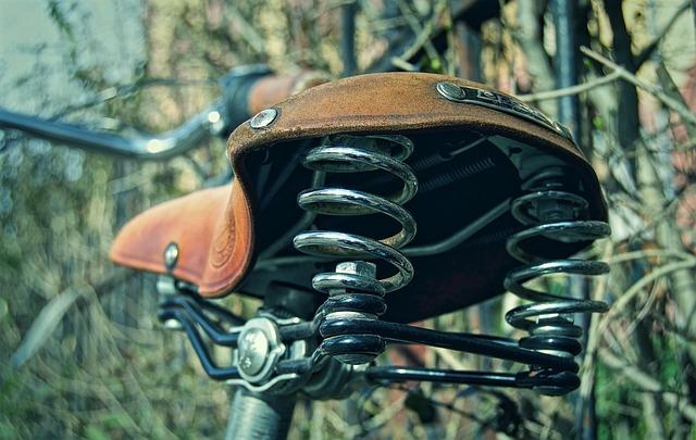 The Timeless Allure of the Dior Saddle Bag