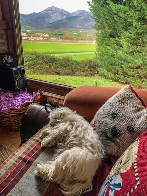 Innovative Pillow Designs for Enhanced Comfort and Support