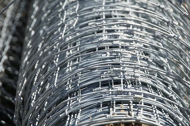 The Role of Zinc in Strengthening Your Defenses