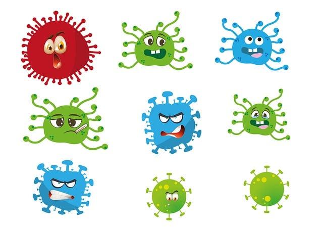 Choosing the Right Immune Bundle for Your Lifestyle