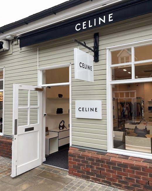 Exploring the Aesthetic Appeal of the Celine Triomphe Bag
