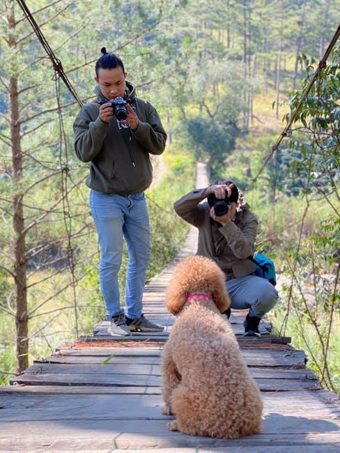 Exploring the Best Pet Cameras for Peace of Mind