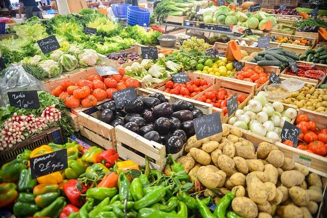 Meal Variety and Customization Options Explored