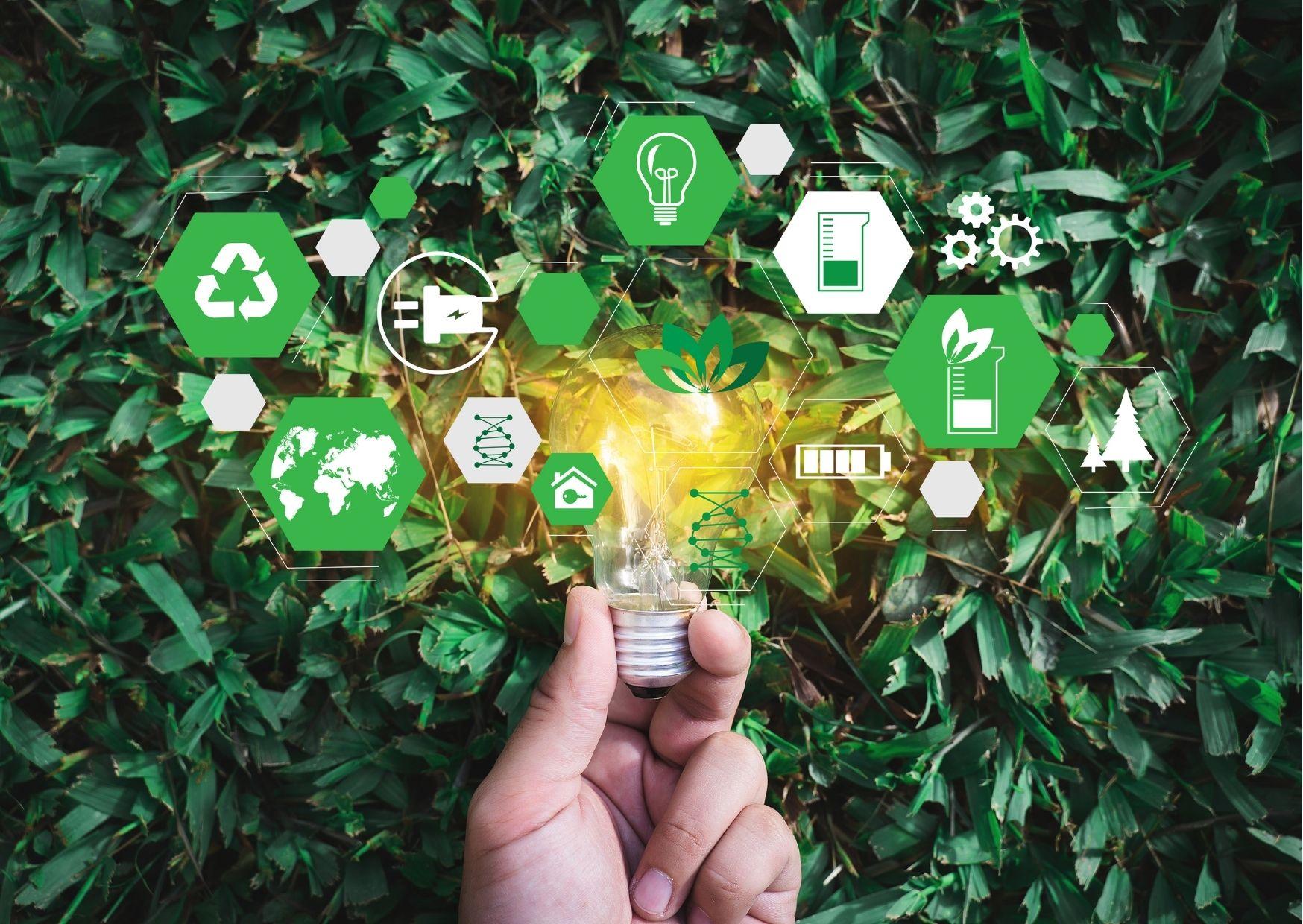 Exploring Sustainability Practices of Leading Meal Kit Brands