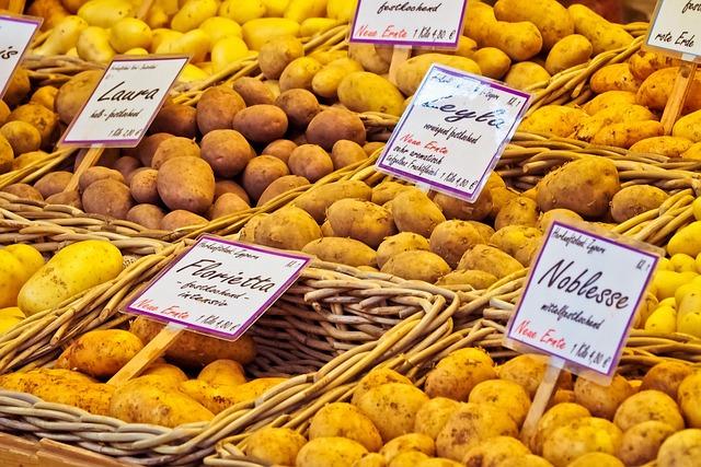 Understanding Seasonal Sales to Maximize Your Budget