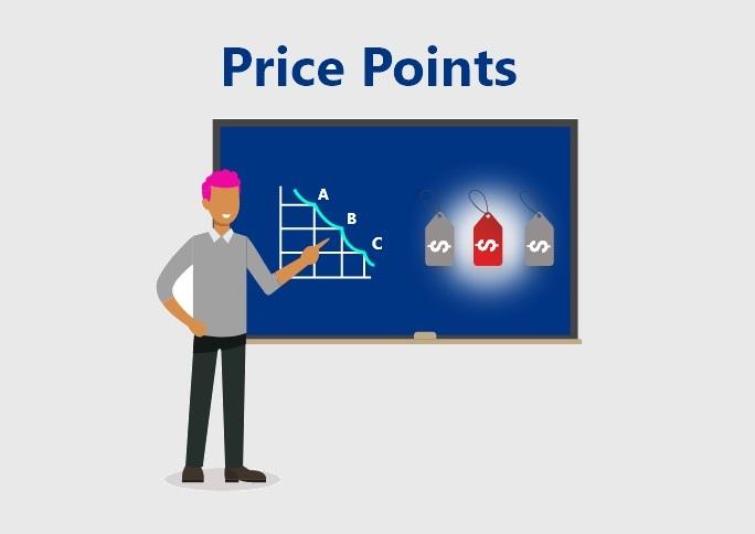 Evaluating Price Points: Understanding the Value Proposition