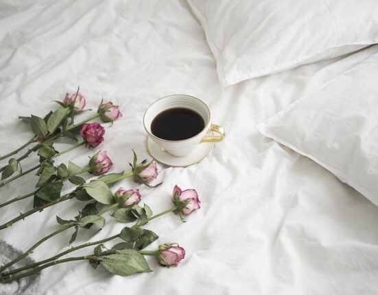 Bed-in-a-Box Delivery Experience – Which Brand Makes It Easiest?
