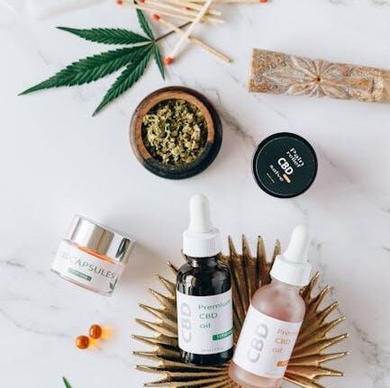 CBD Capsules vs Oils vs Gummies – Best Formats for Relaxation