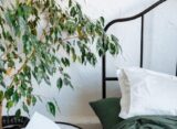 The Quietest Smart Blinds – Motor Speed, App Control & Light Filtering Reviewed