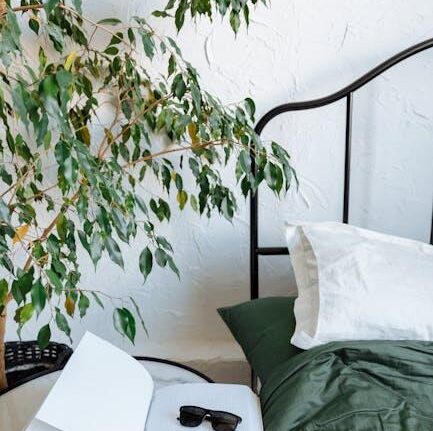 The Quietest Smart Blinds – Motor Speed, App Control & Light Filtering Reviewed