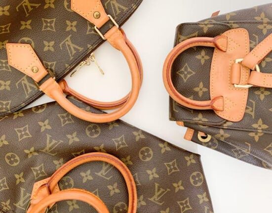 Is the Louis Vuitton Neverfull Still a Must-Have? 2025 Edition