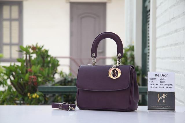 Dior Saddle Bag: It Girl Favorite or Outdated Relic?